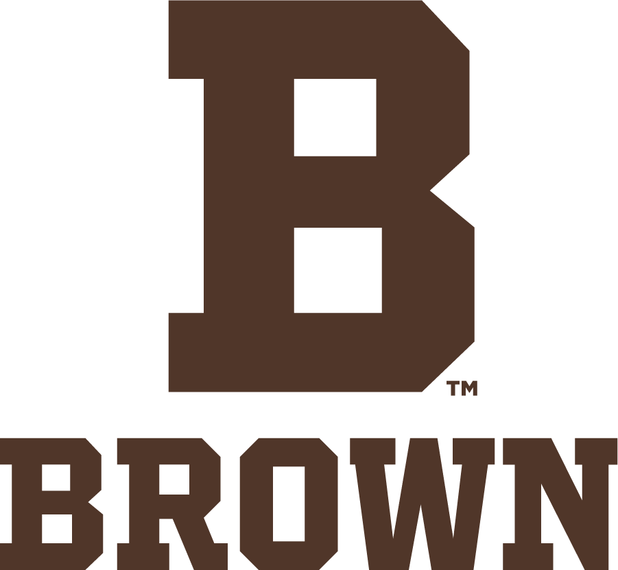 Brown Bears 2022-Pres Secondary Logo v7 diy iron on heat transfer
